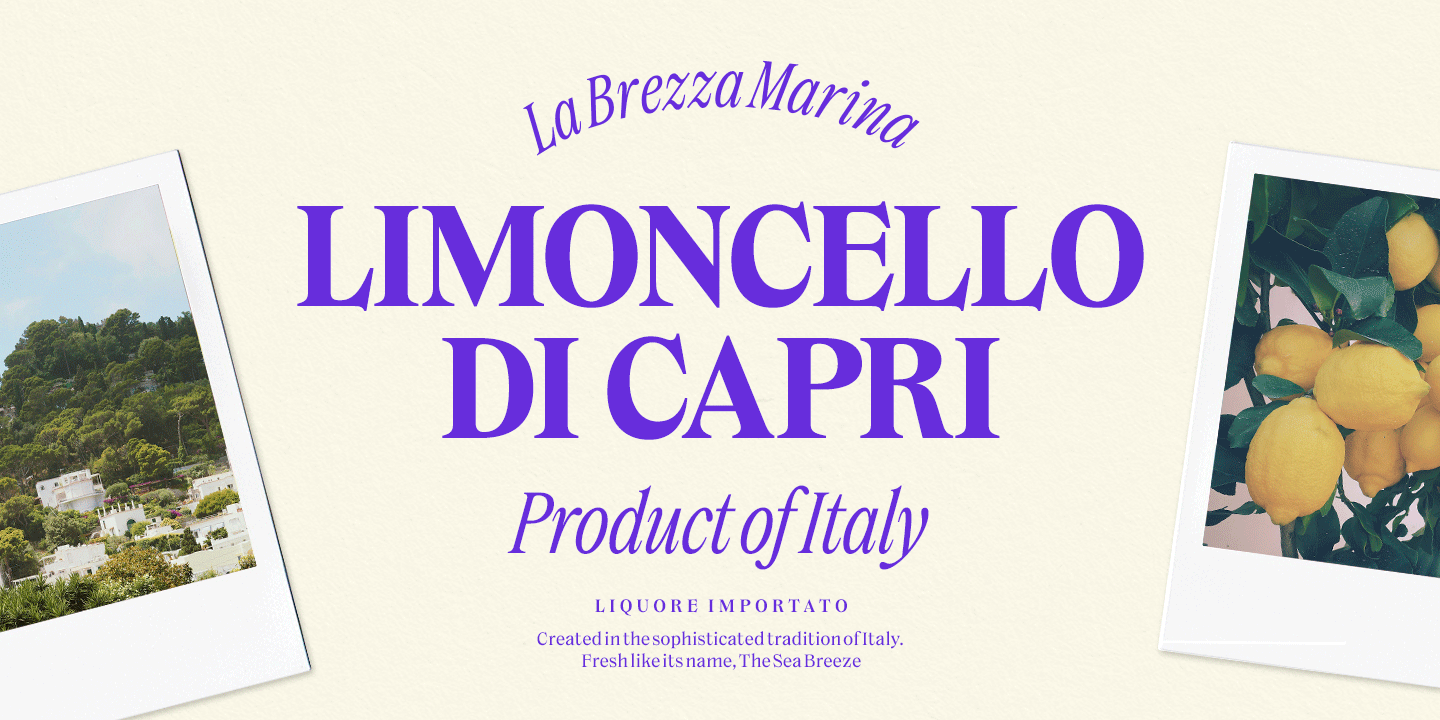 Dickens Font Poster #1