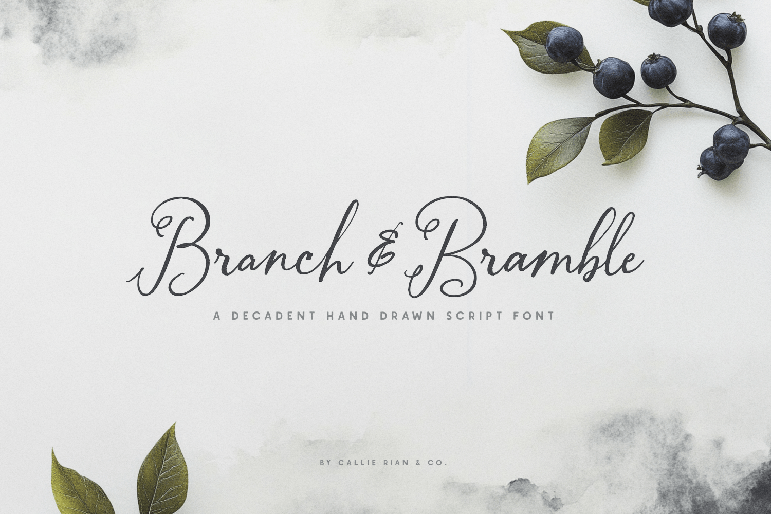 Branch & Bramble Calligraphy Font Poster