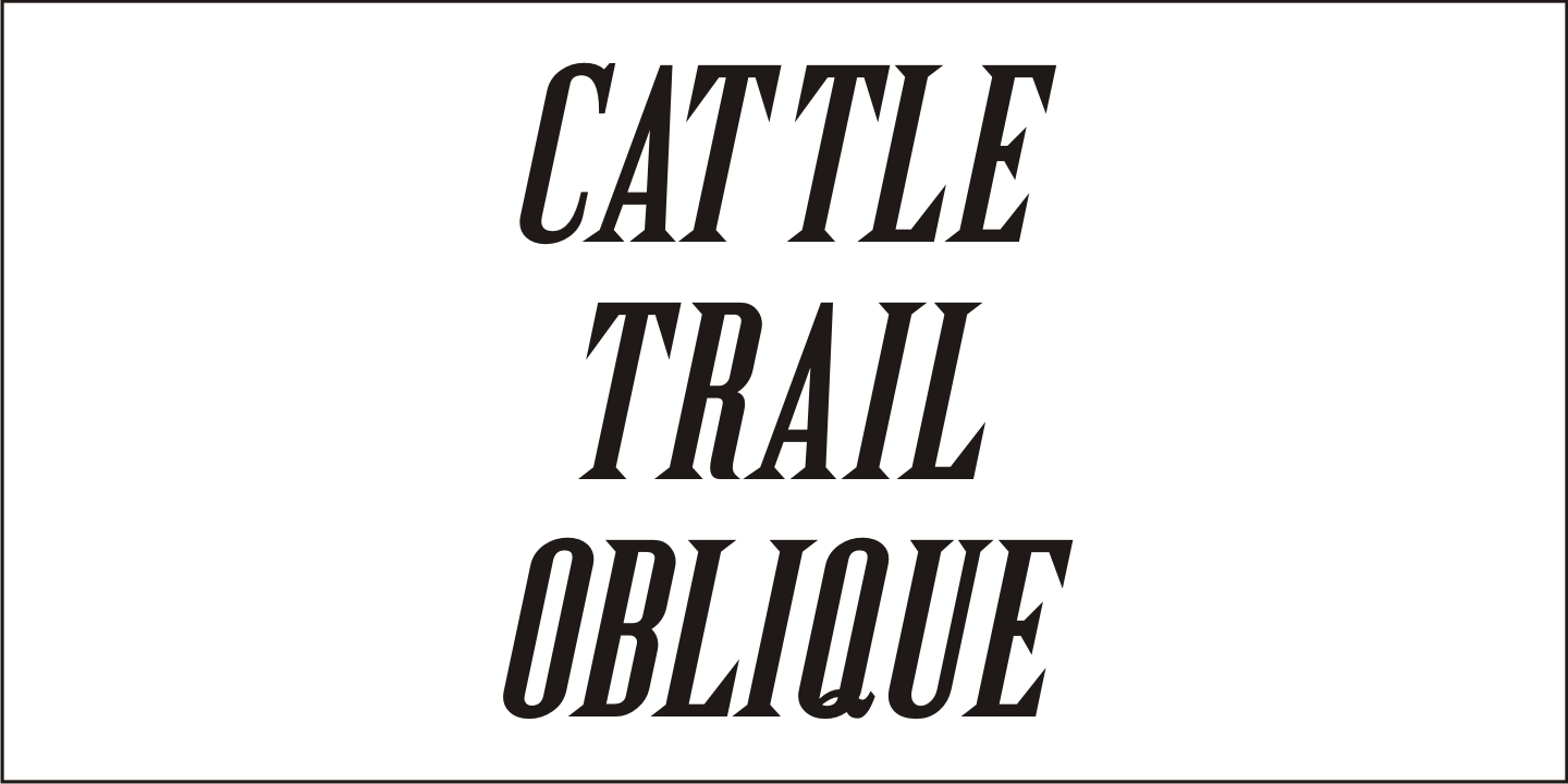 Cattle Trail Font Poster #4