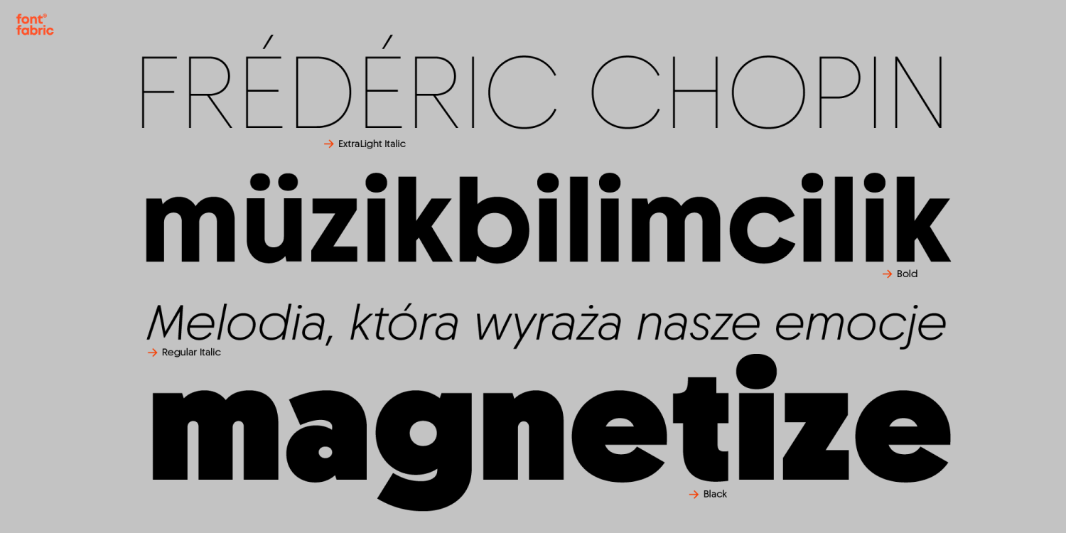Chopin Font Poster #1