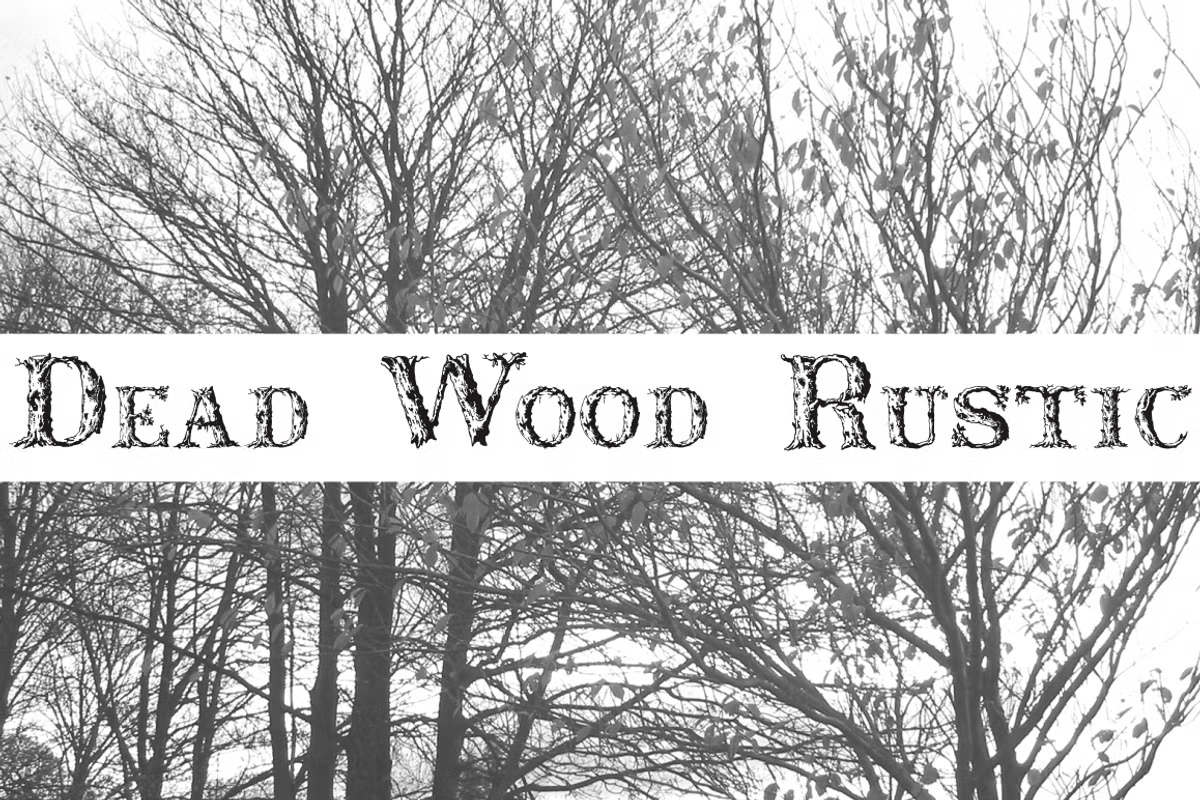 Dead Wood Rustic Font Family Poster