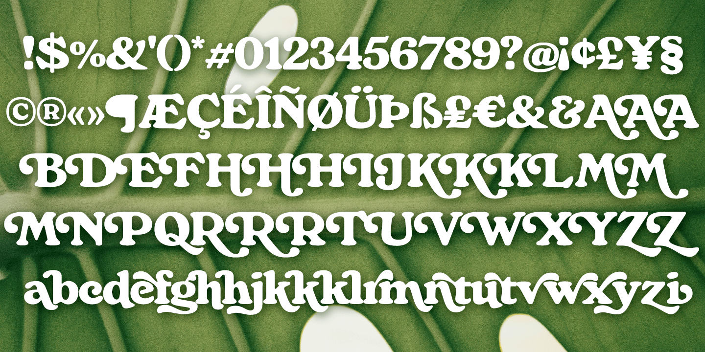Monstera Font Poster #1