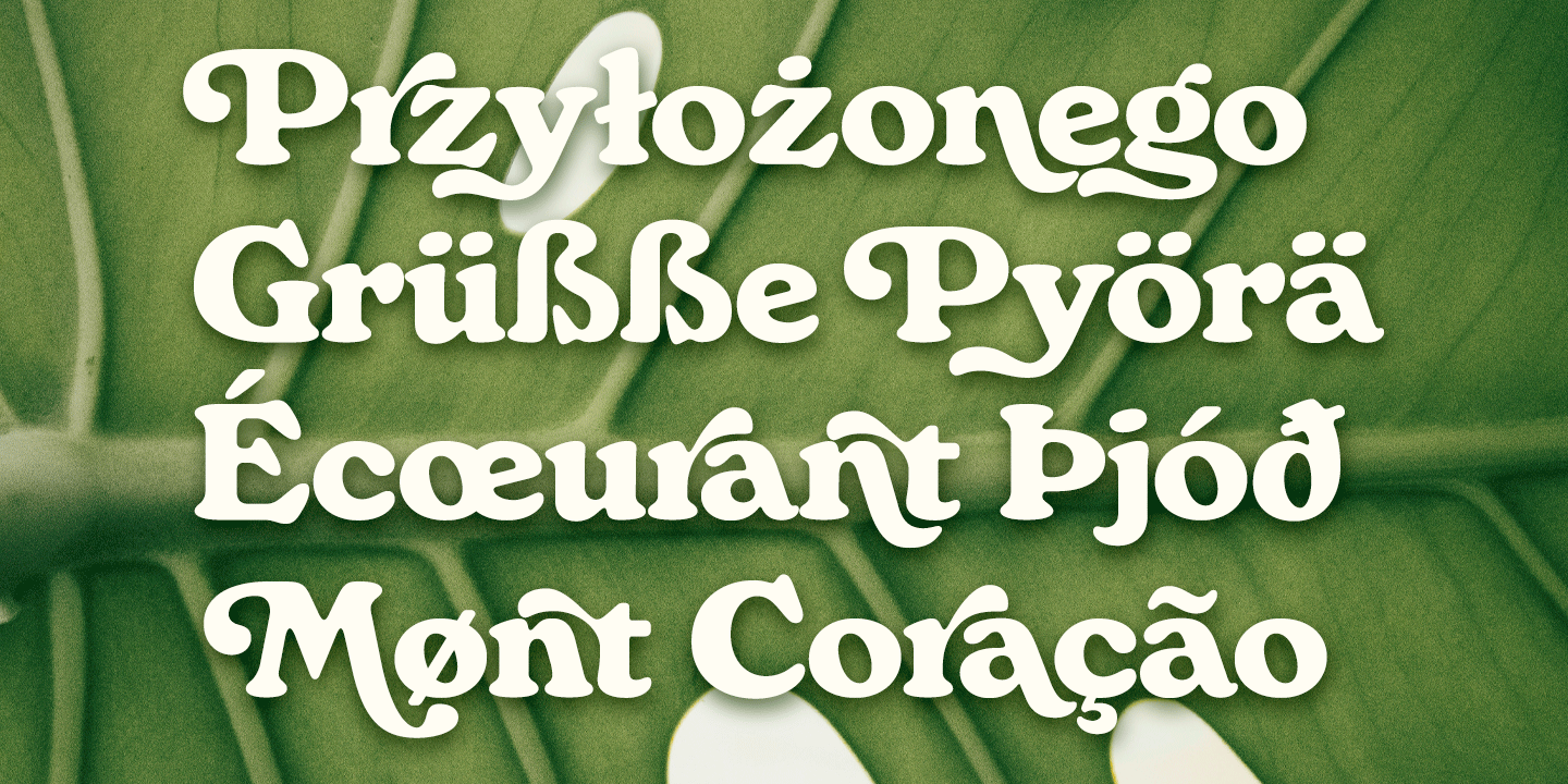 Monstera Font Poster #1