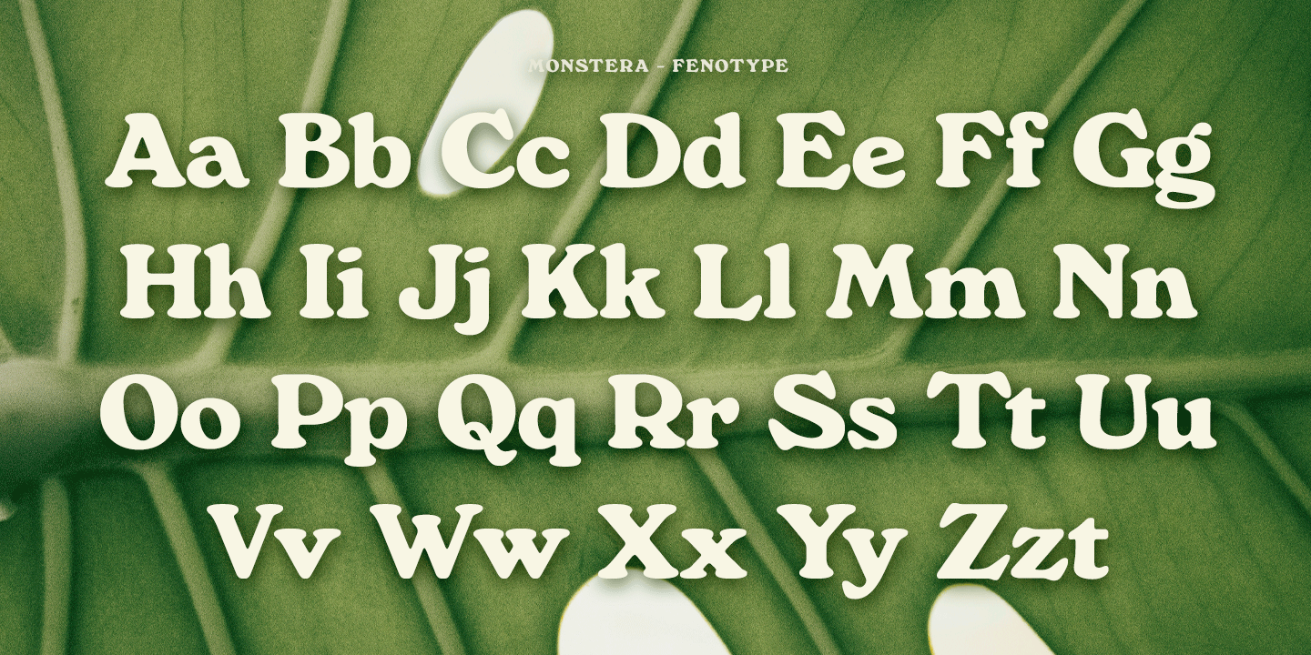 Monstera Font Poster #1