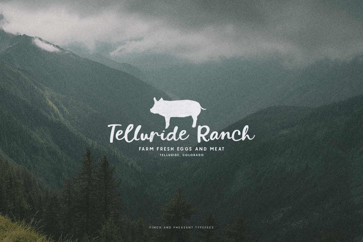 Finch & Pheasant Script Font Poster #2