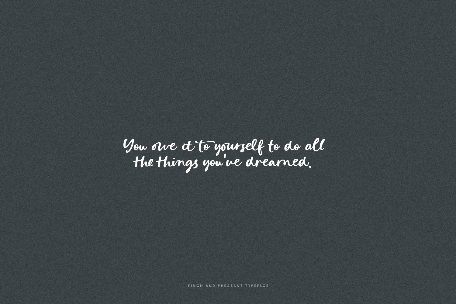 Finch & Pheasant Script Font Poster #6