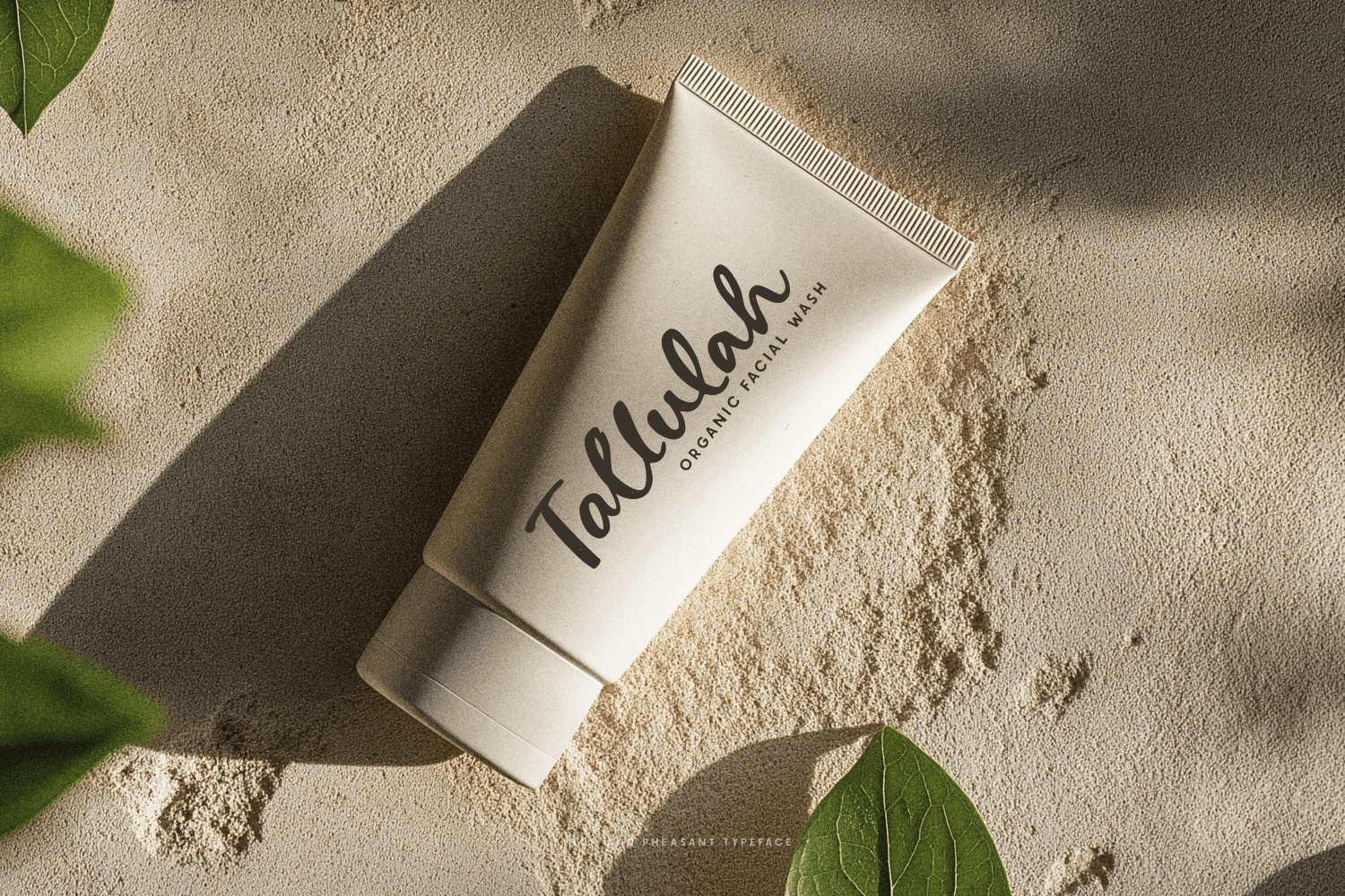 Finch & Pheasant Script Font Poster #7