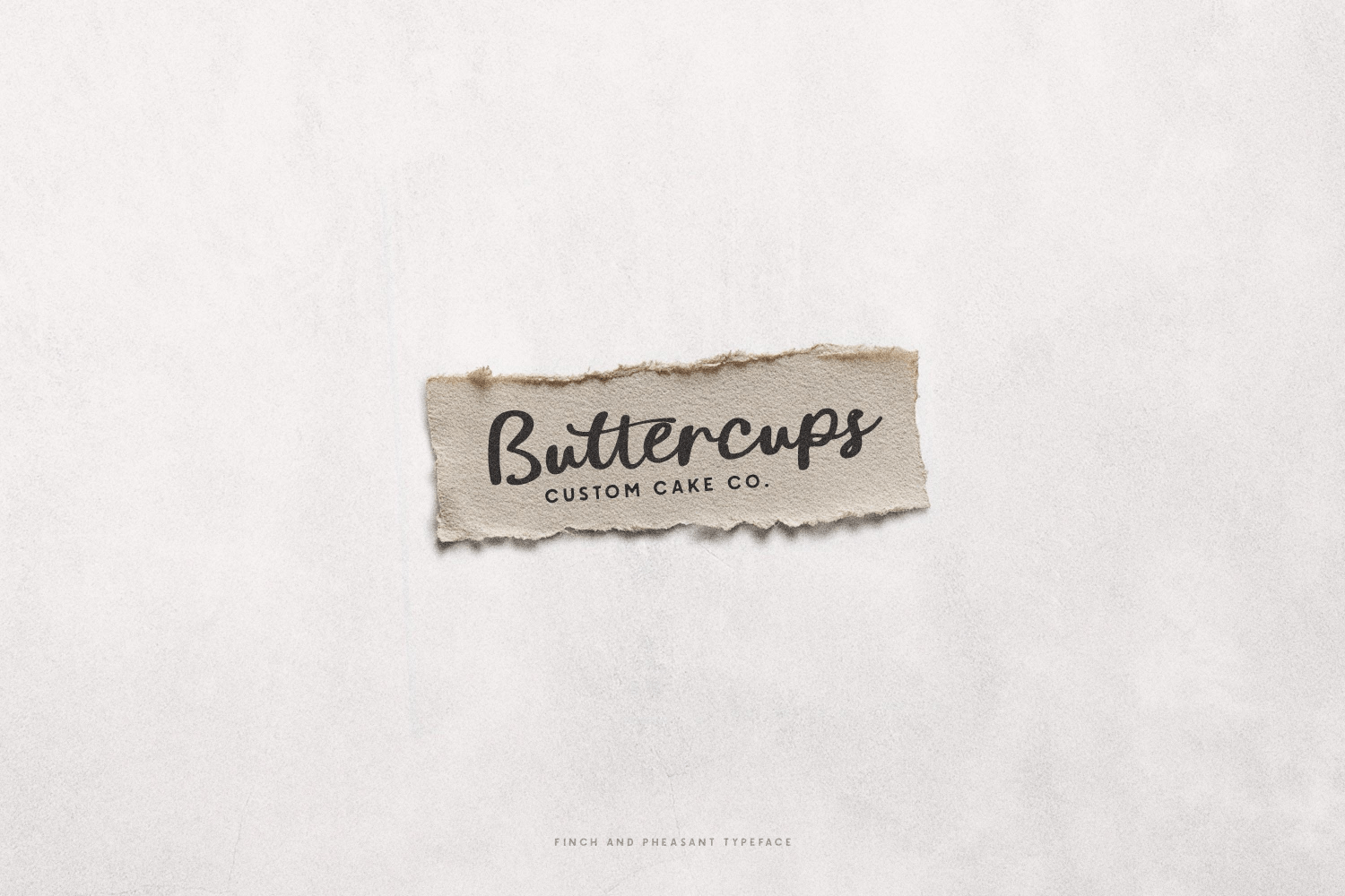 Finch & Pheasant Script Font Poster #9