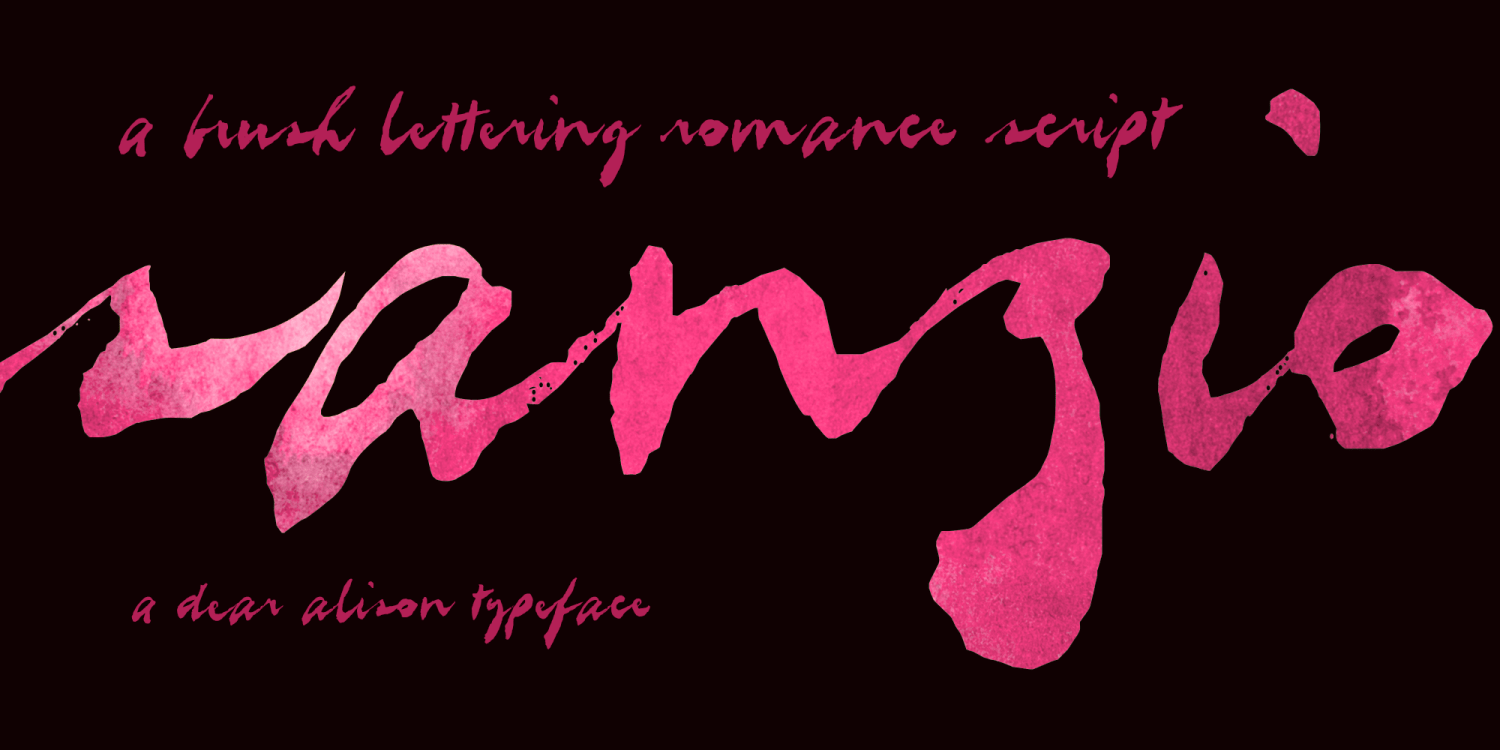 Sanzio Font Poster #1