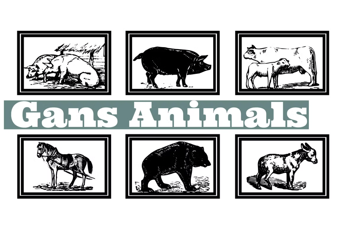Gans Animals Font Family Poster