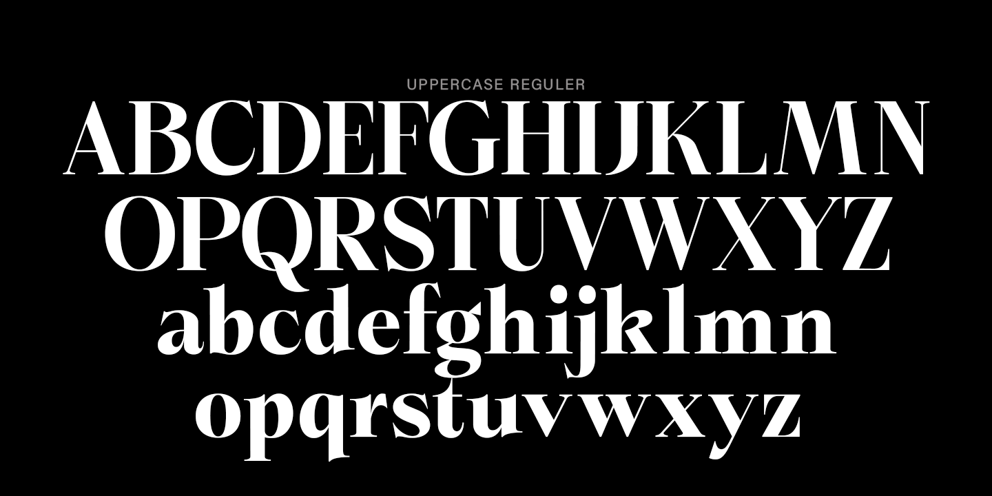 Briselle Font Poster #5