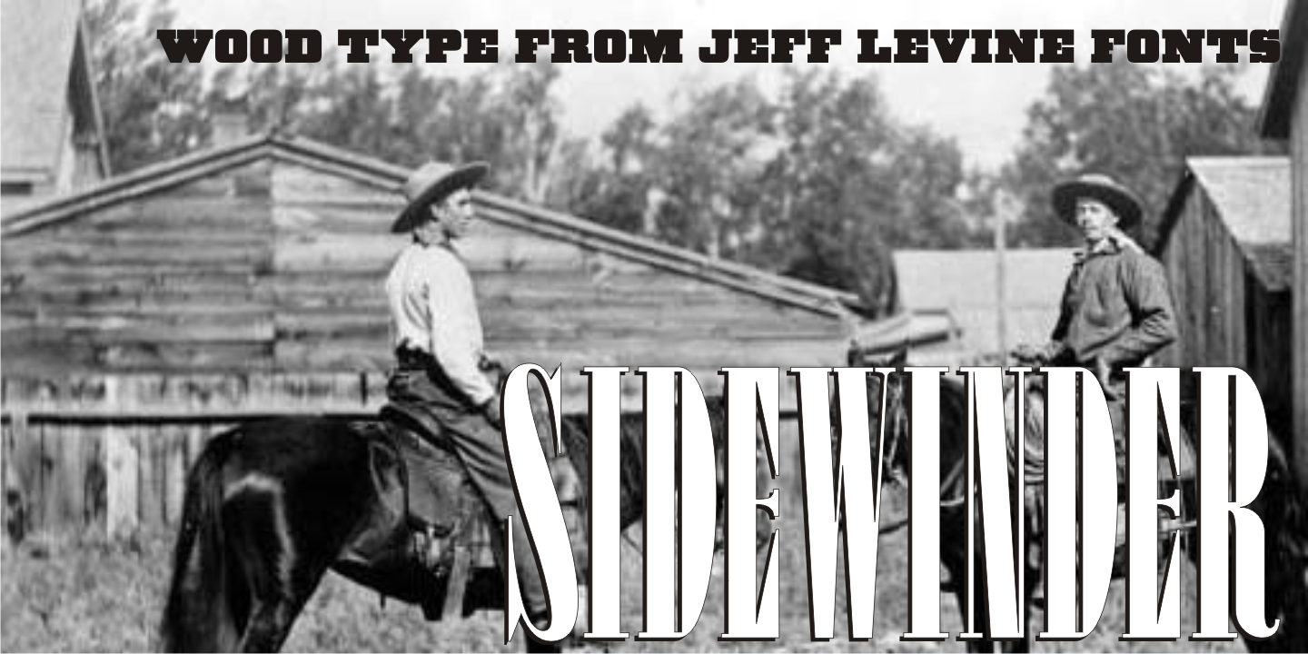 Sidewinder Font Family Poster