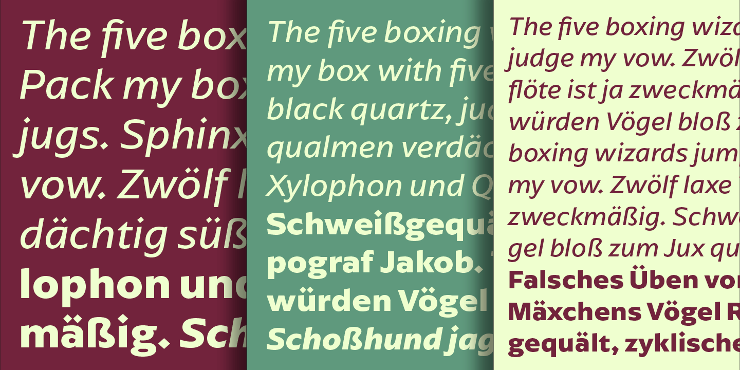 Arpona Sans Font Poster #1
