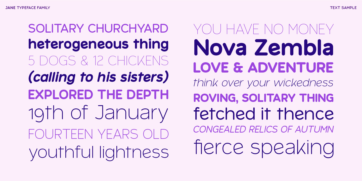 Jane Font Poster #12