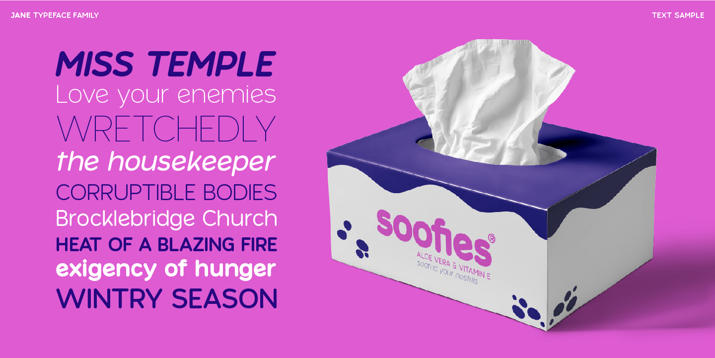 Jane Font Poster #14