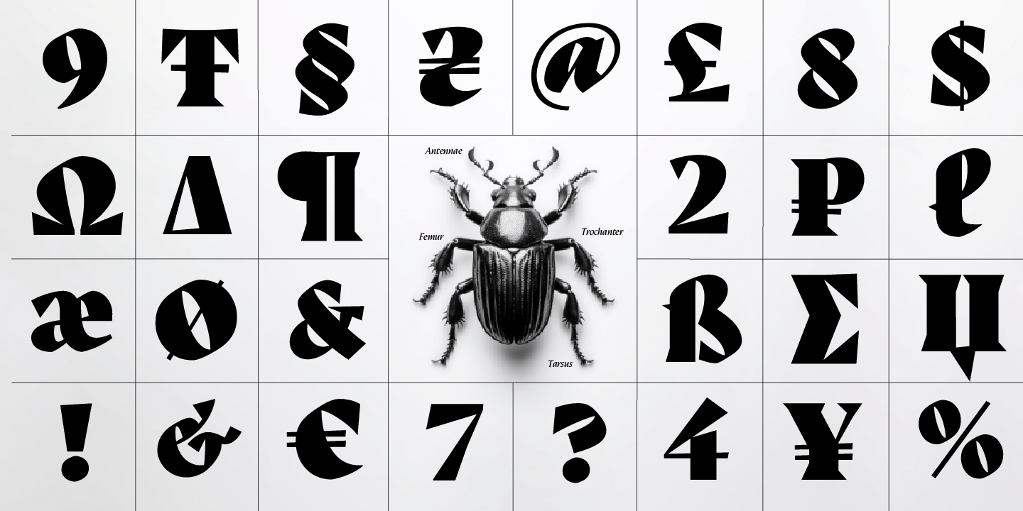 Auge Font Poster #1