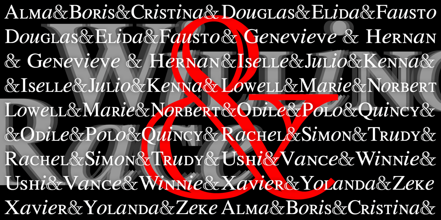 Willing Race Font Family Poster