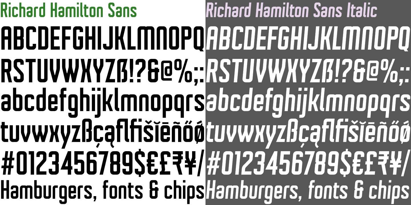 Richard Hamilton Sans Font Poster #1