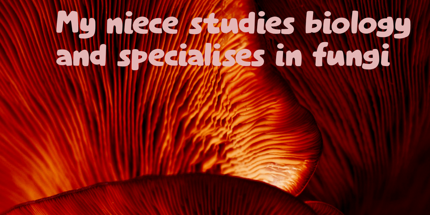 Elfenbankje Font Poster #3