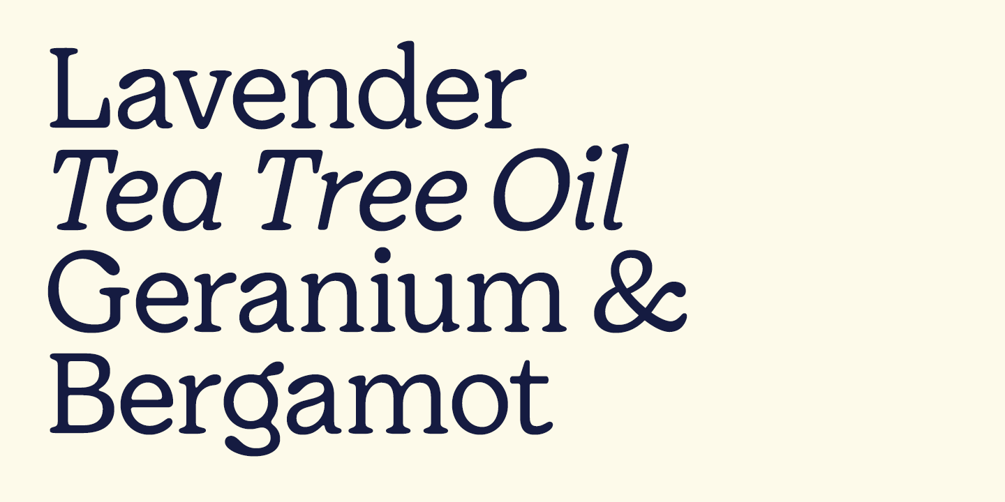 Giorgia Font Poster #13