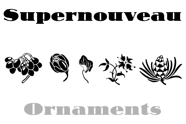Supernouveau Font Poster #1