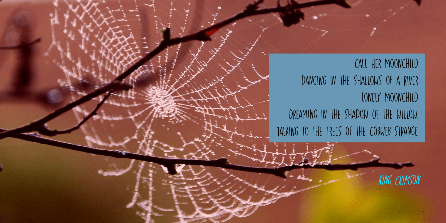 Cobweb Afternoon Font Poster #1