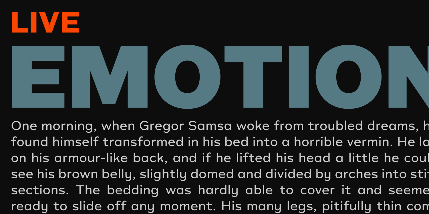 Typonium Font Poster #4