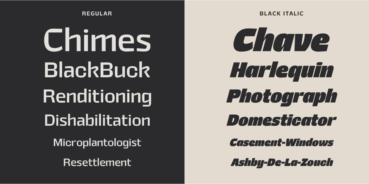 Rogy Font Poster #5