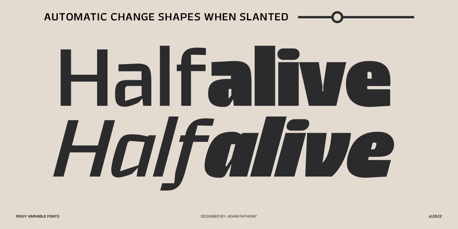 Rogy Font Poster #7
