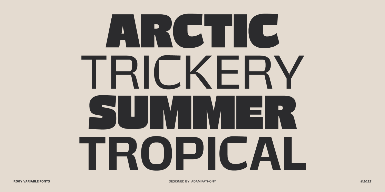Rogy Font Poster #9