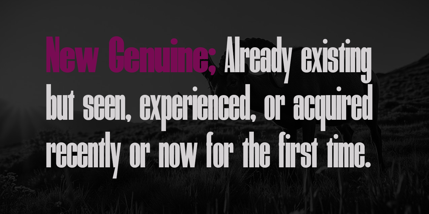 New Genuine  Font Poster #2