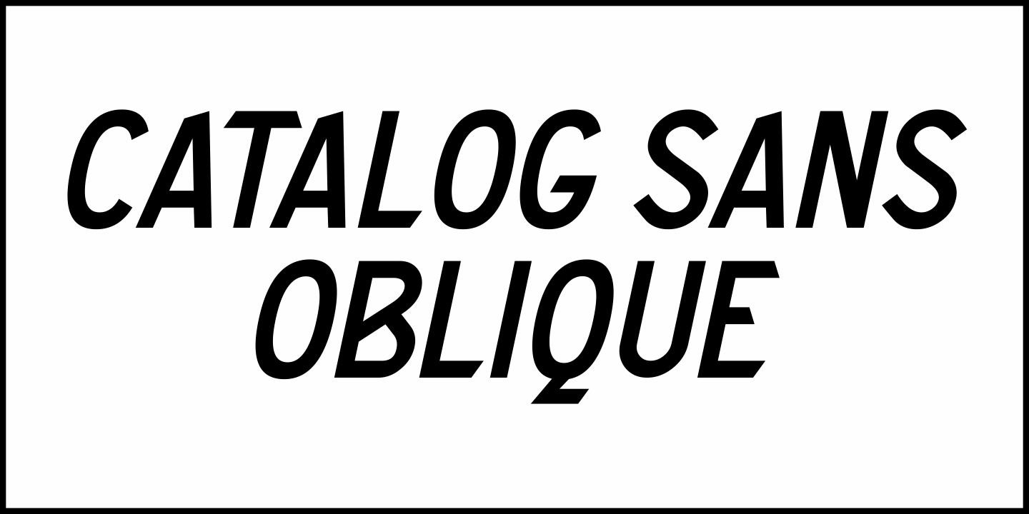 Catalog Sans Font Poster #4