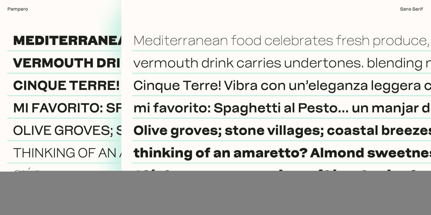 Pampero ExtraBold Font Poster #7