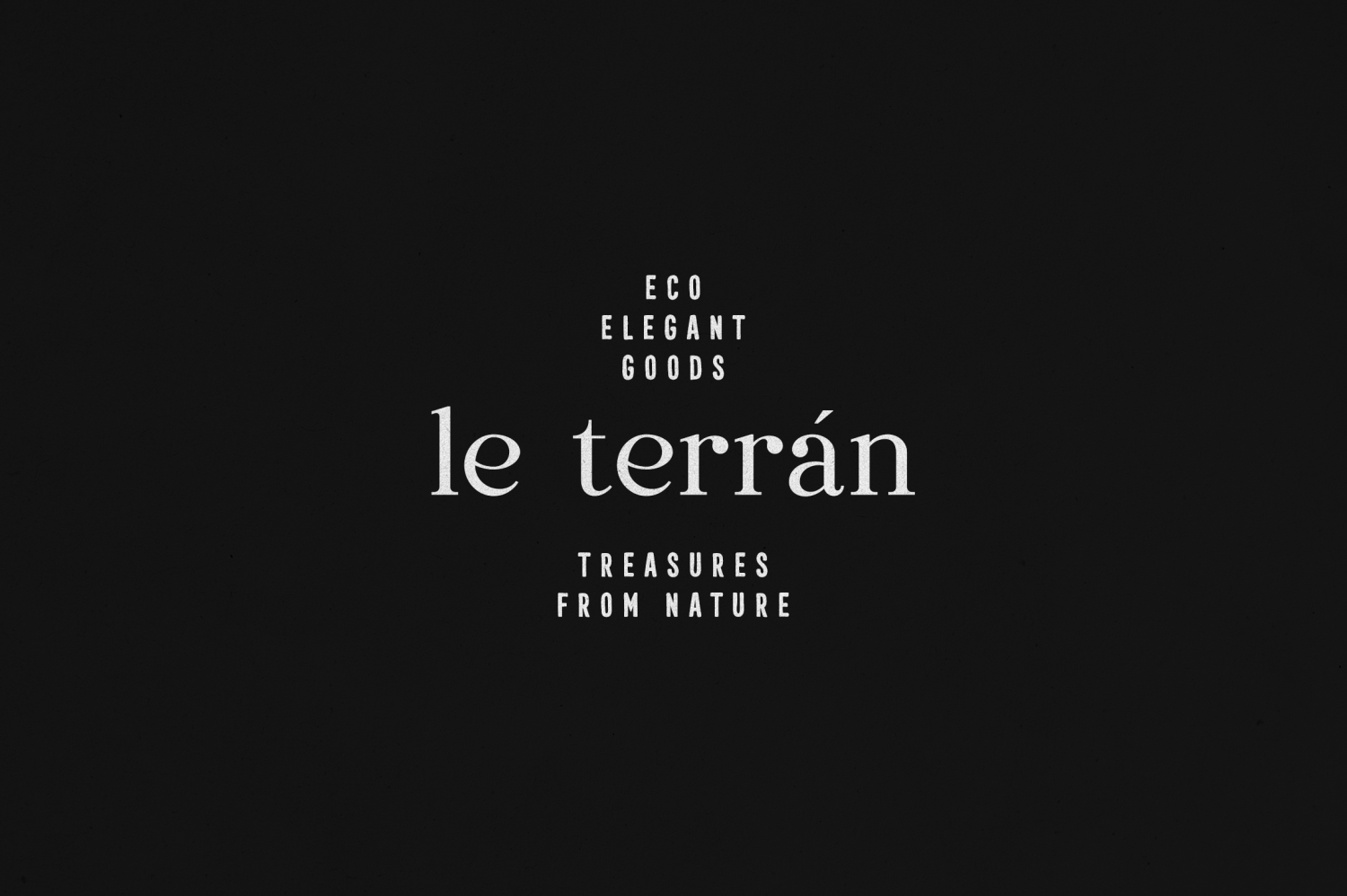 Dentra Solina Font Poster #6