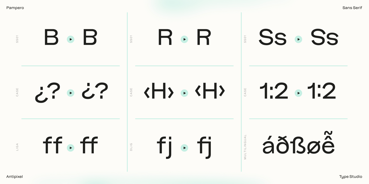 Pampero Medium Font Poster #12