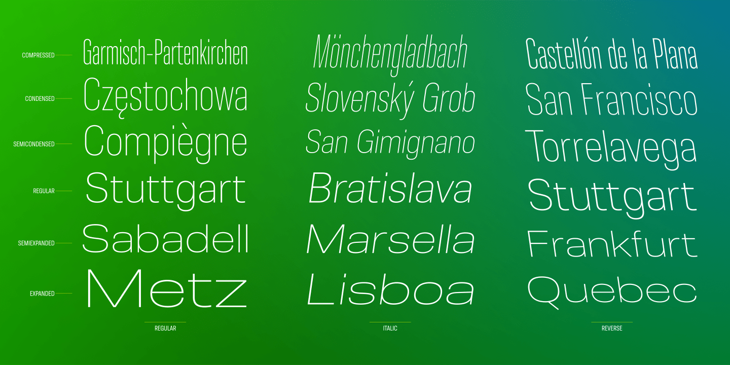 Molde Font Poster #1
