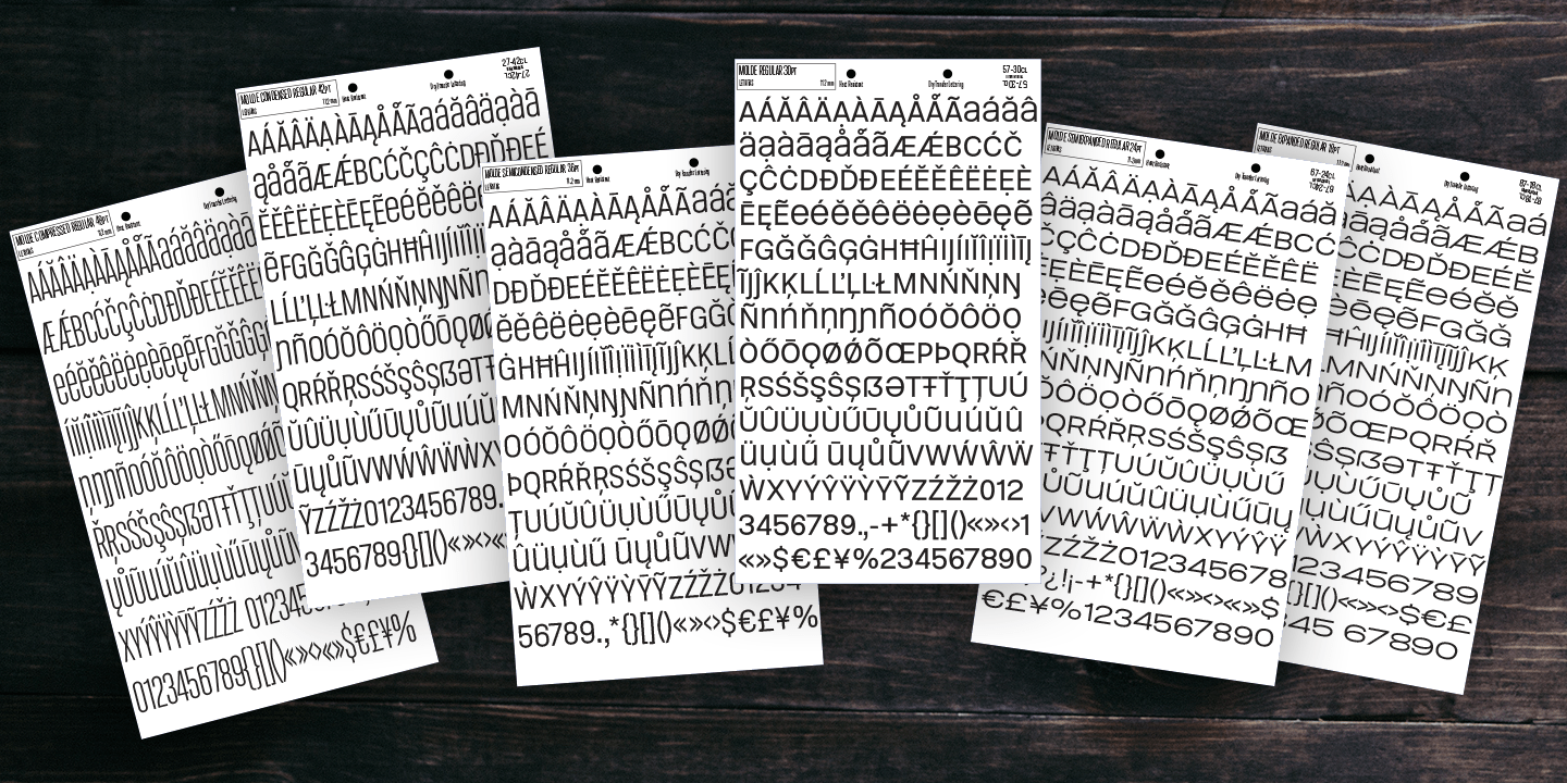 Molde Font Poster #1