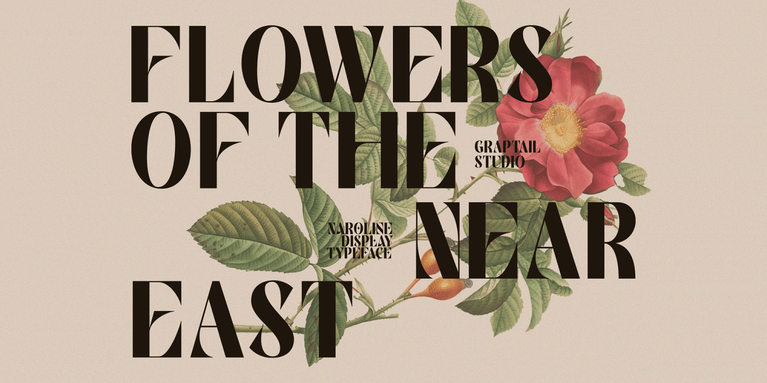 Naroline Font Poster #1