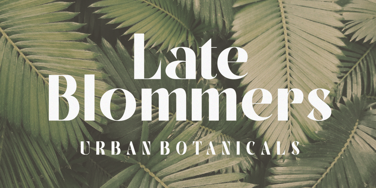 Naroline Font Poster #1