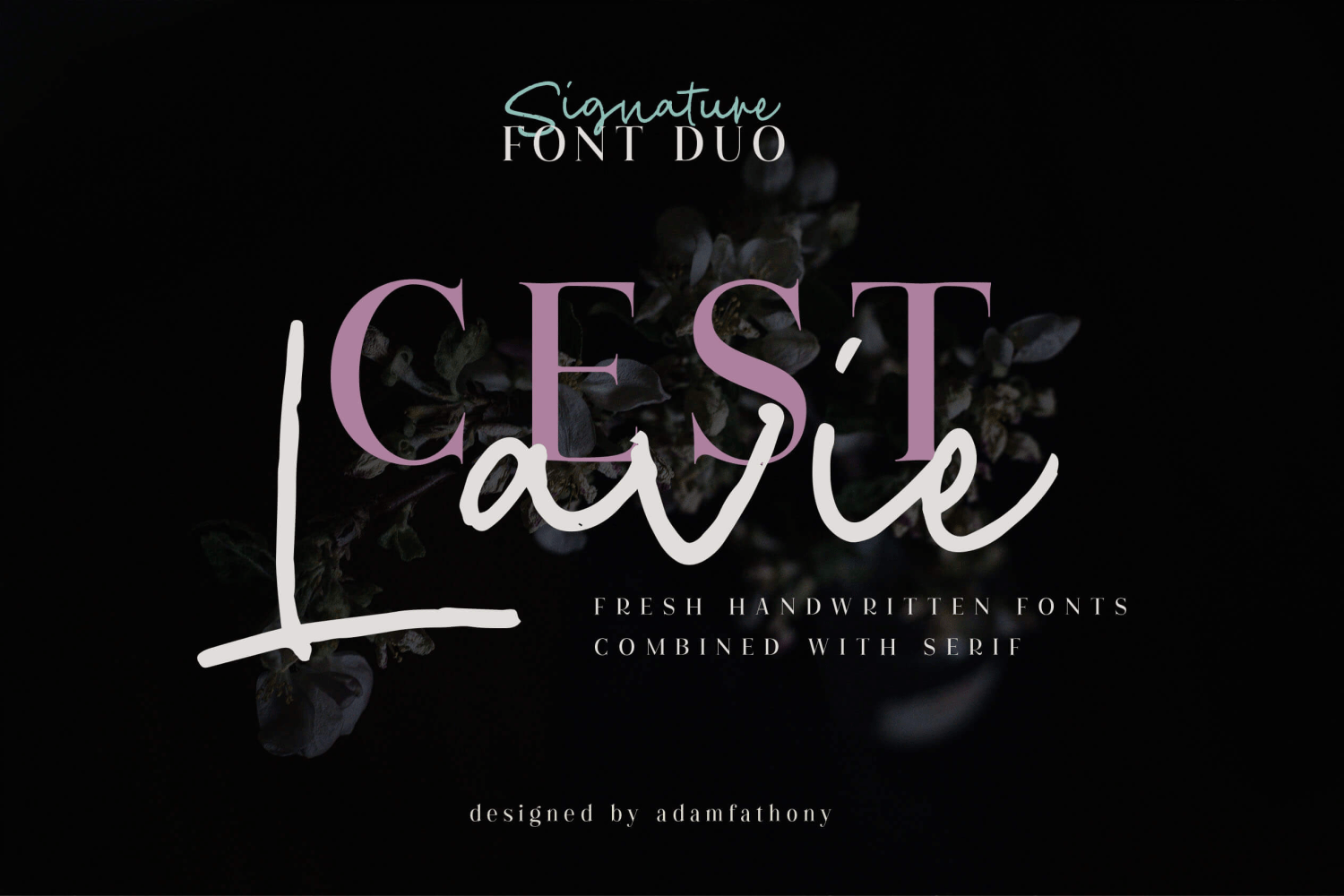 C'est Lavie Font Poster #1