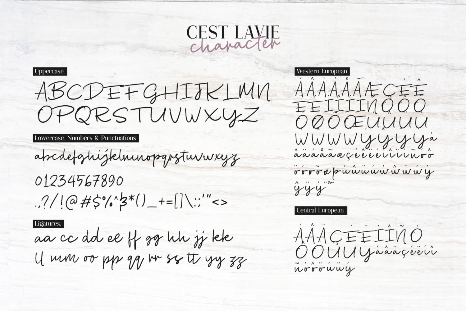 C'est Lavie Font Poster #1