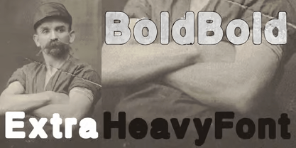 BoldBold Font Family Poster