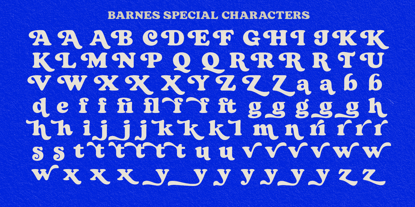 Barnes Black Font Poster #1