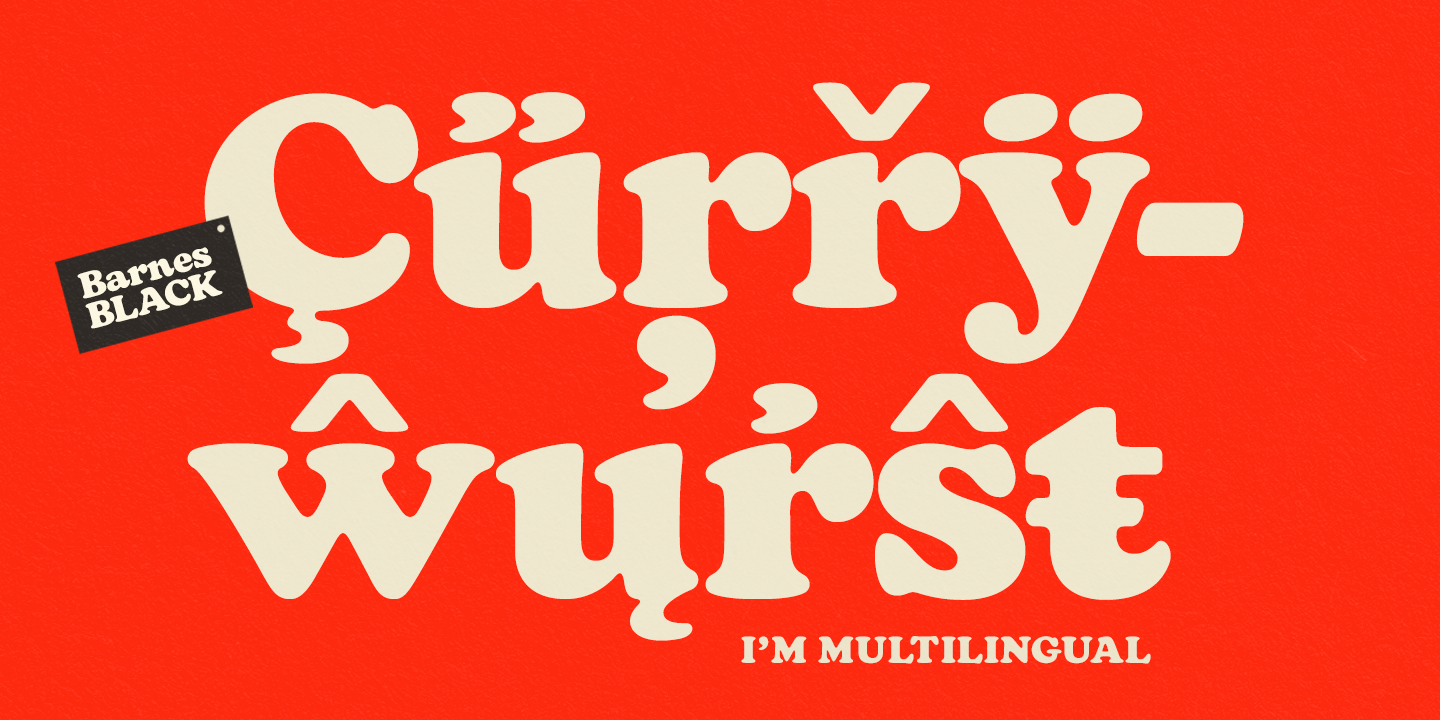 Barnes Black Font Poster #1