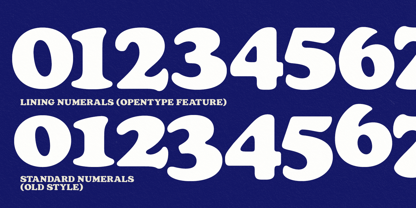 Barnes Black Font Poster #1