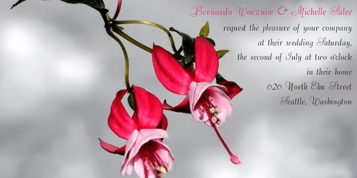 Bernardo Font Poster #1