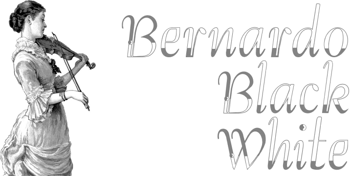 Bernardo Font Poster #1