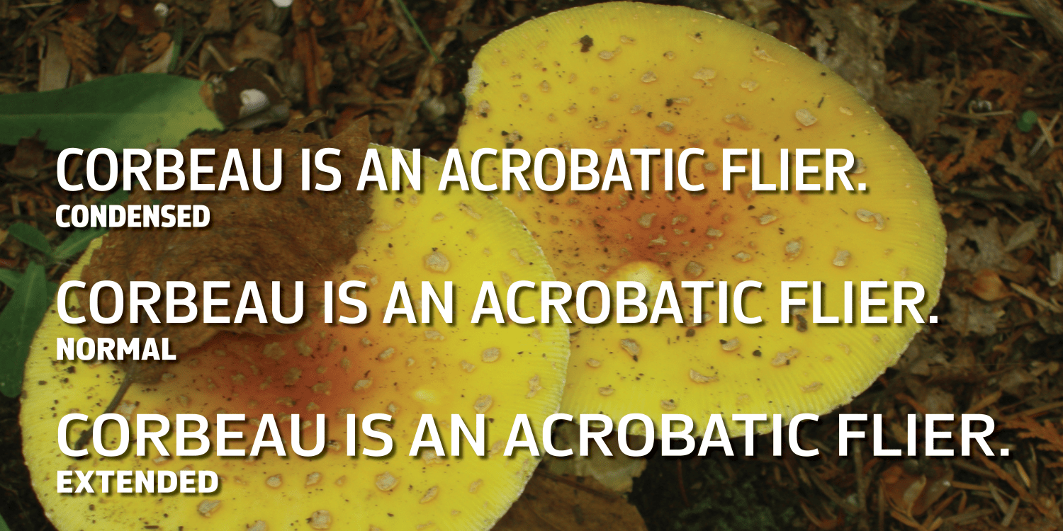 Corbeau Pro Font Poster #1