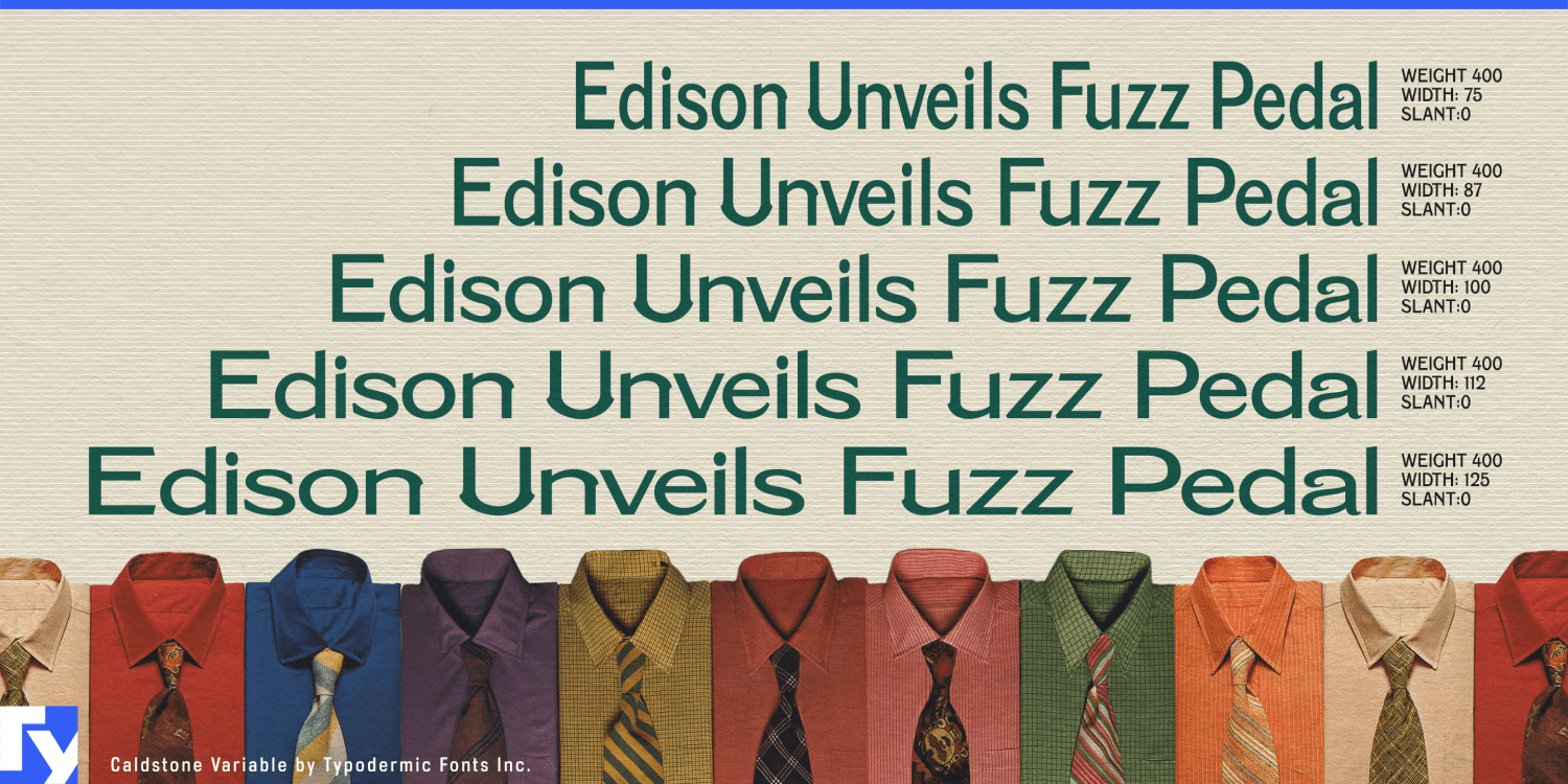 Caldstone Variable Font Poster #1