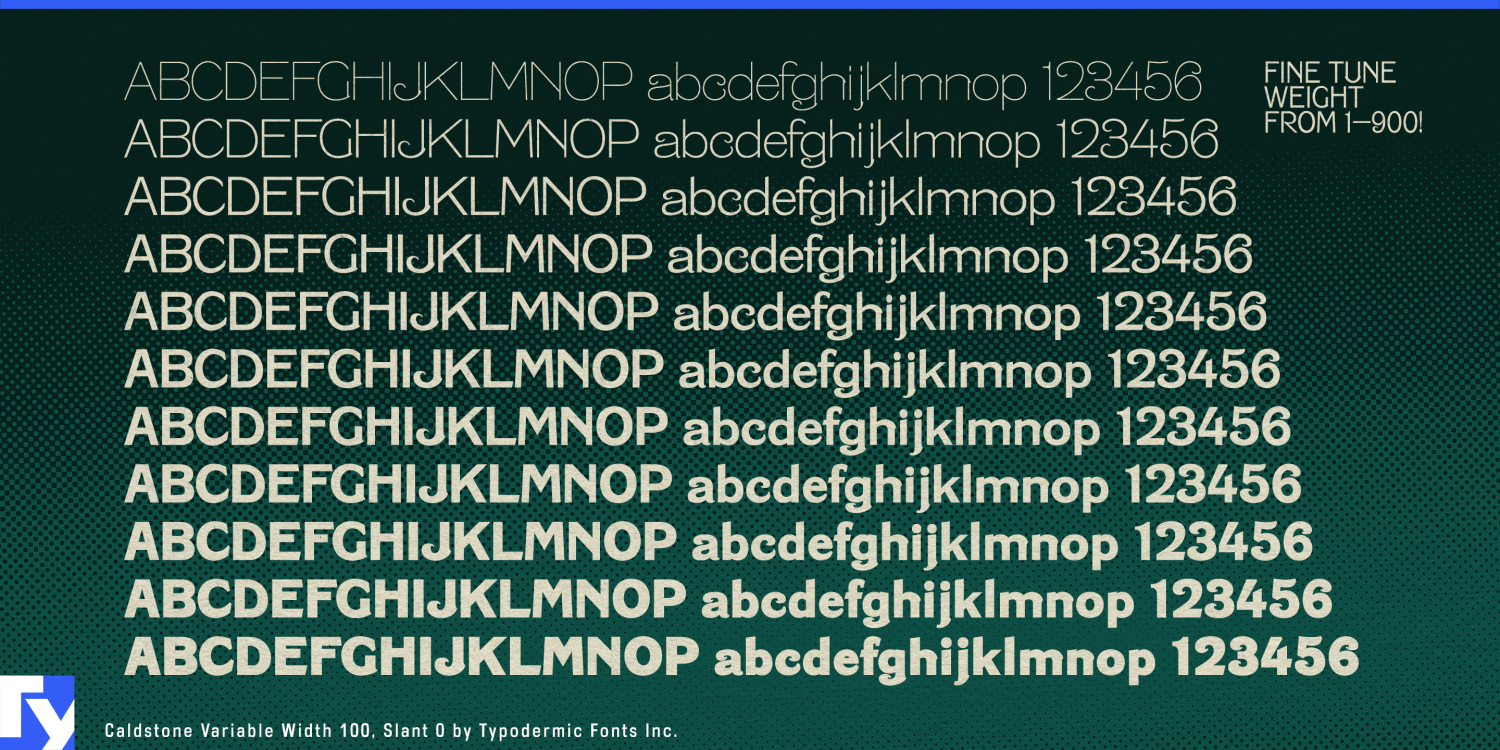 Caldstone Variable Font Poster #1